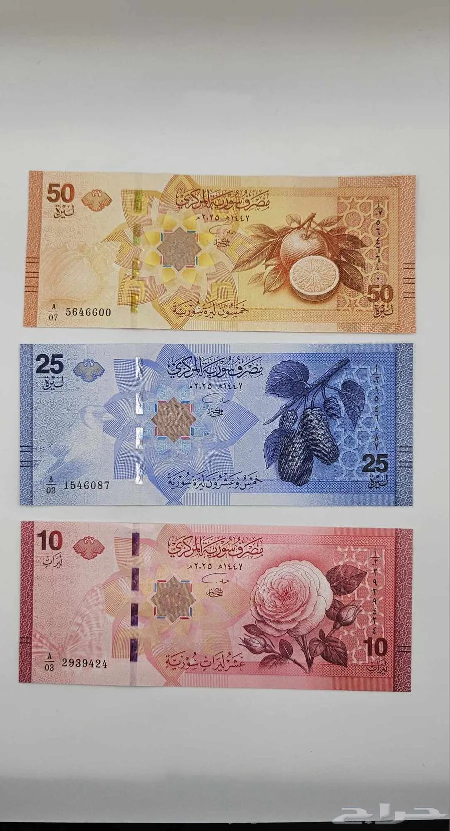 عملات سوريا الجديدة إصدار البنك المركزي - معروضة للبيع لدى تراثيات في الرياض